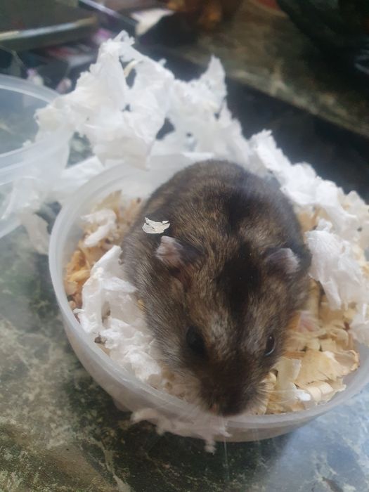 Девочка и мальчик