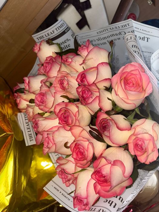 Цветы роза 25 штук