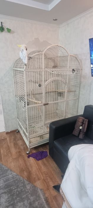 Клетка большая. Для попугаев или обезьян