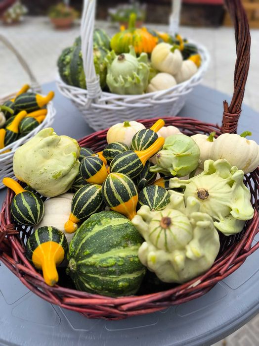 Декоративная тыква