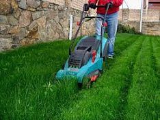 Профессиональный уход за газоном