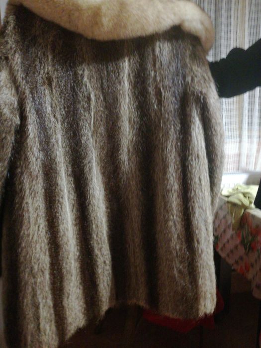 Vind scurta de blana