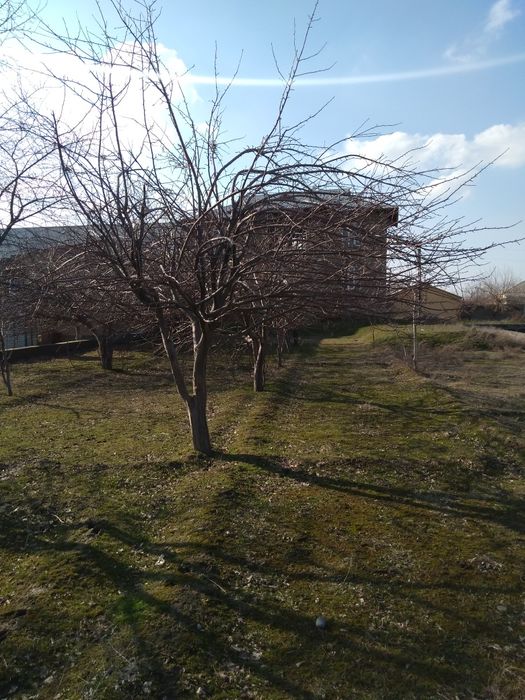 Uchastka sotiladi 10-sotik samarqand,payariq,chelak