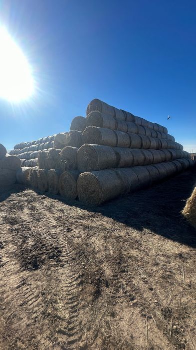 Рулоны    (сена)