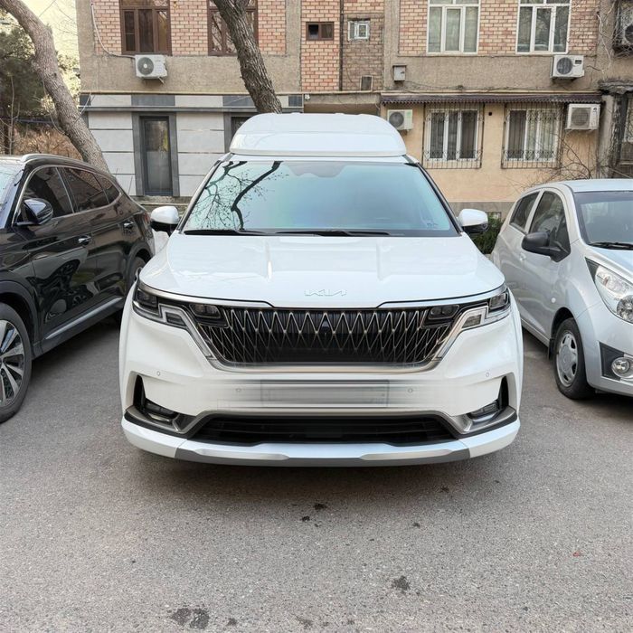 Kia Carnival High Limousine в идеале