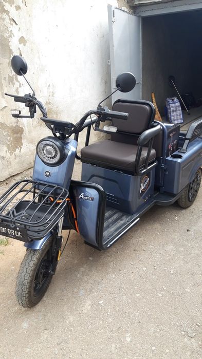 Трицикл муравей.