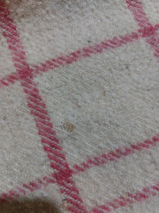 Pătură de lână - crem cu roz