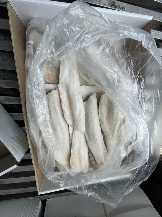 Продам Филе Судака