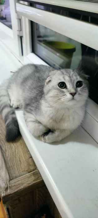 Onam bilan porno galereyalar