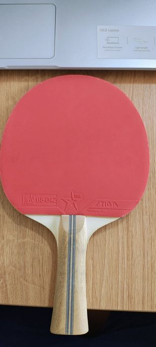 Set palete tenis/ping pong Stiga Sway