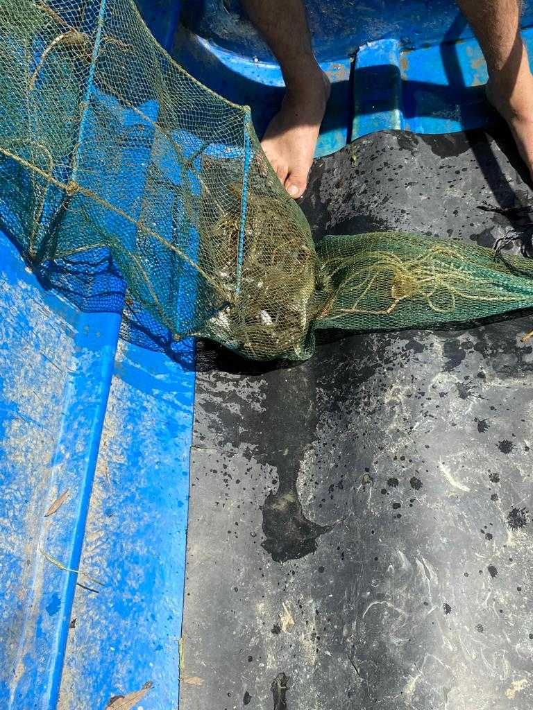  Frabill Minnow Seine Net