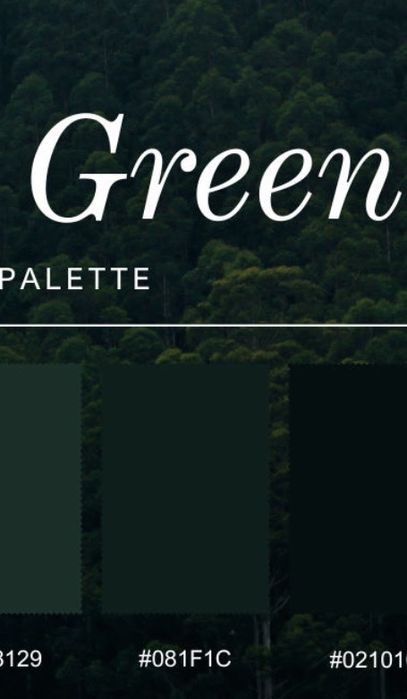 Зелен тренч от еко кожа BERSHKA р-р M/ L