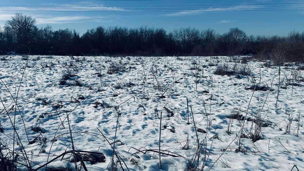 Продава се Парцел в Габрово, Център - 6580 кв.м за 5 €/кв.м - Снимка #2