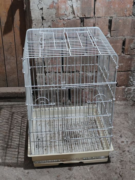 продавам клетки за Папагал бялата  другите