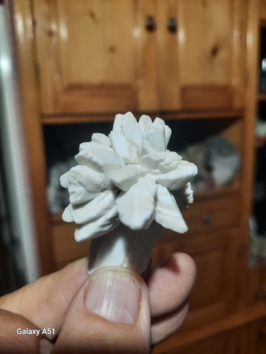 Flori de Mină, mari și mici