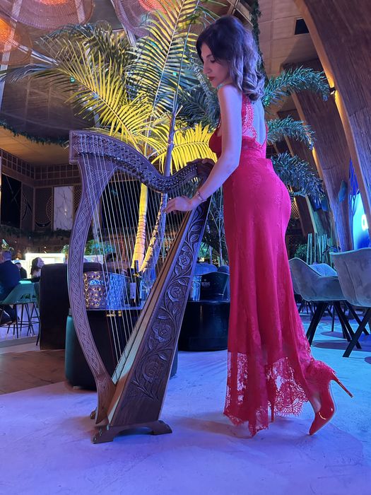 Harpă la evenimente