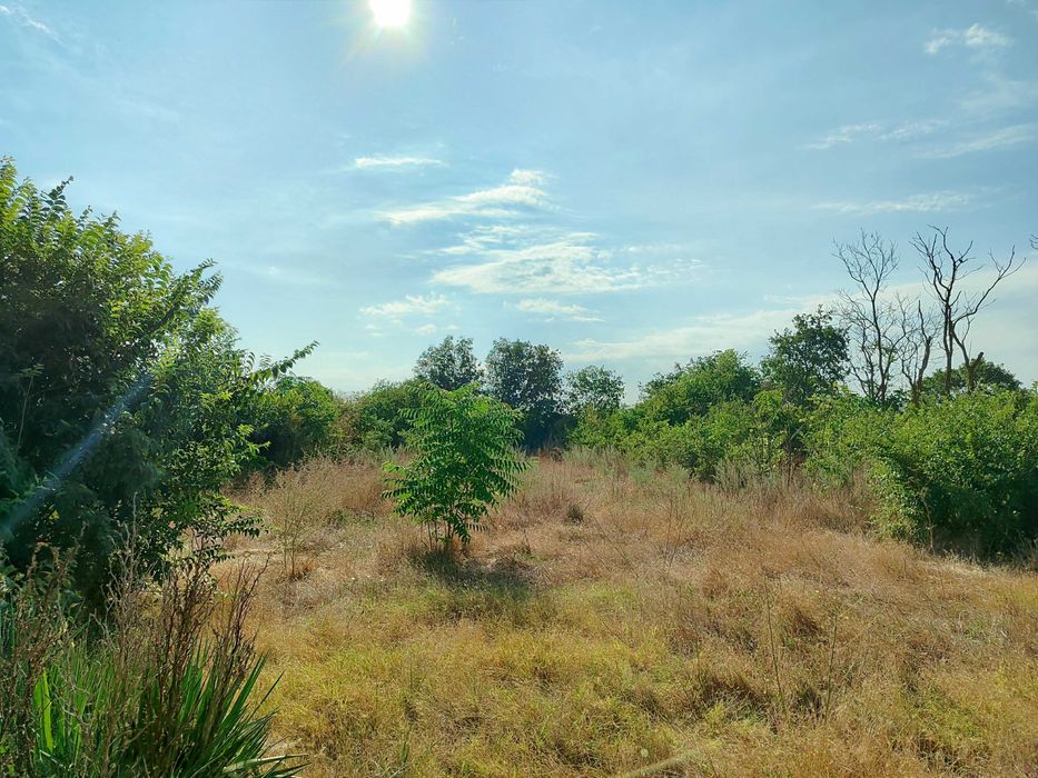 Продава се Къща в с. Българево, Област Добрич - 100 кв.м за 1150 €/кв.м - Снимка #1