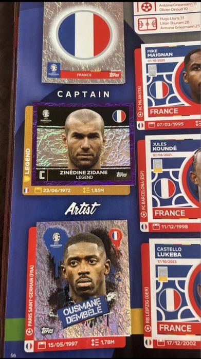 Panini Euro 2024