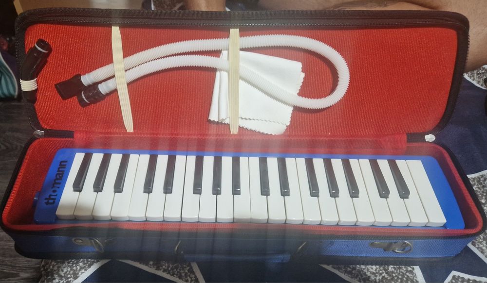 Instrumente muzicale