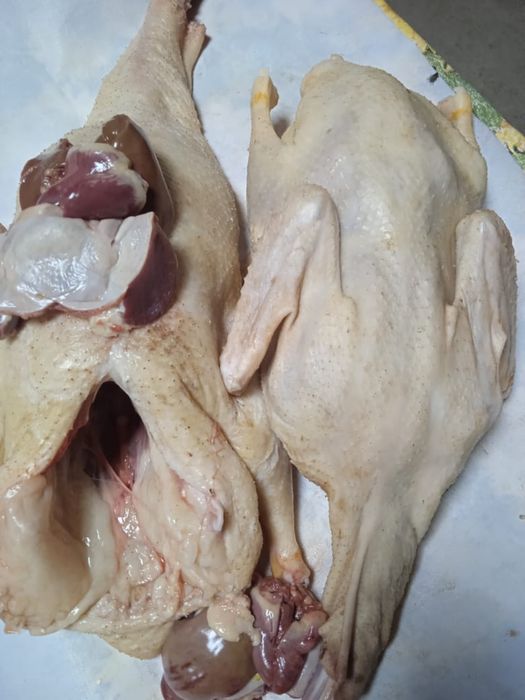 Домашнии утки