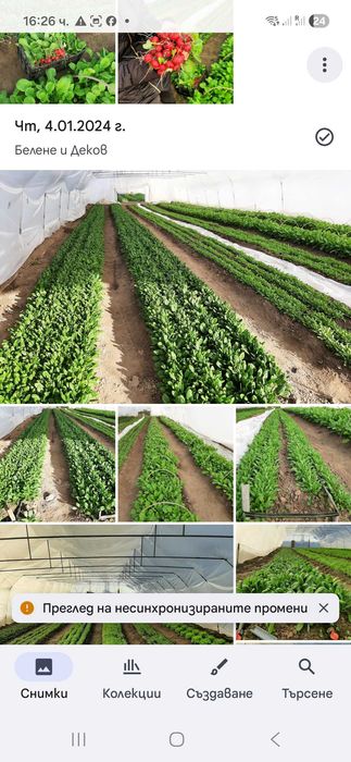 ПРОДАВАМ/ОТДАВАМ  ФЕРМА -зеленчуци,орънжерии инфраструктора