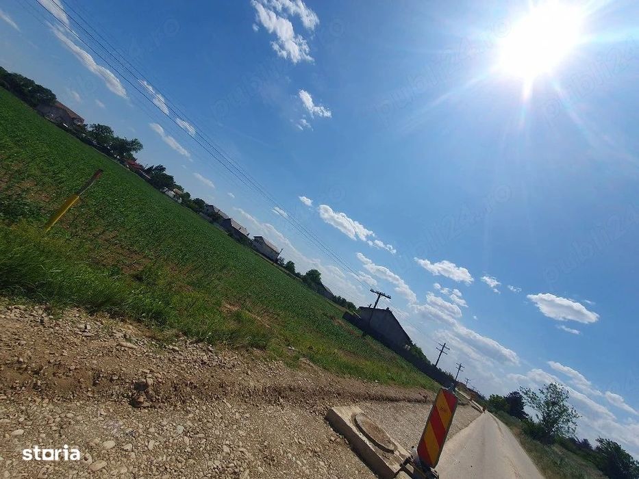 Teren intravilan 1.000 mp | Moara Vlăsiei | Strada Berzei