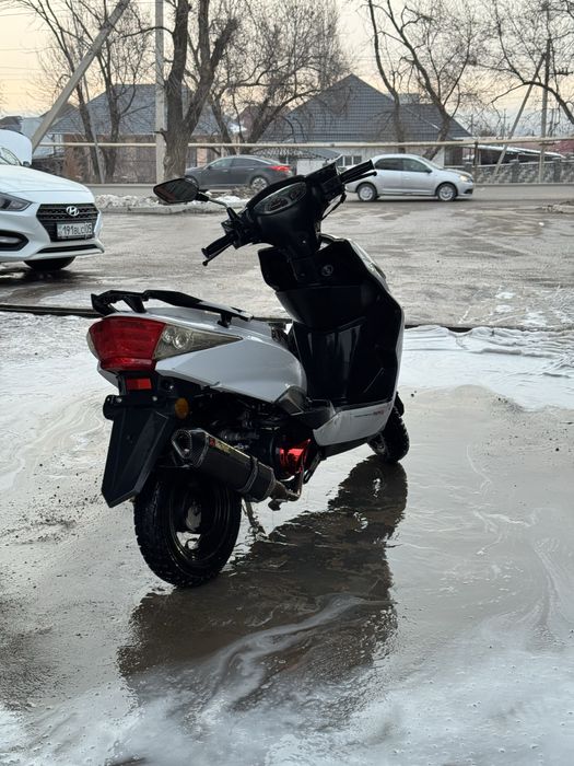 Продам мопед м8