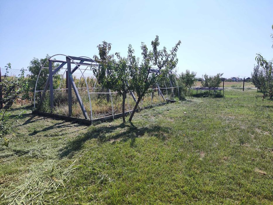 Teren intravilan 733 m², desch 22 m – str. Sportului (asfalt), Ulmi