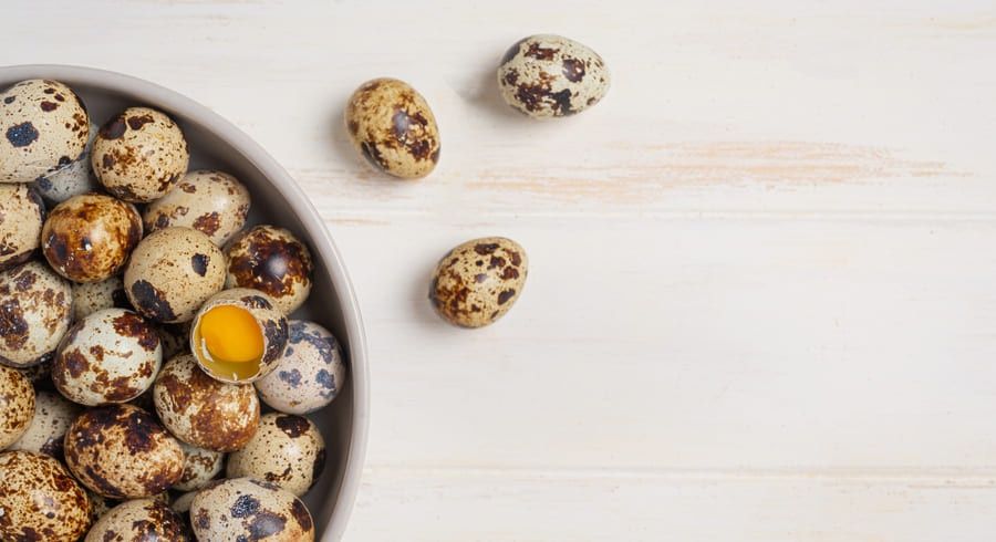 Бөдене жұмырқалалы