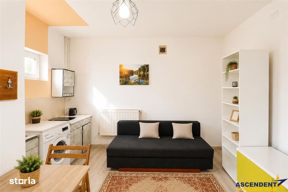 Studio in vila cu baie si bucatarie proprie, acces aproape independent — fotografia 1