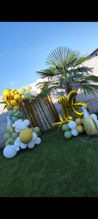 Arcada baloane evenimente