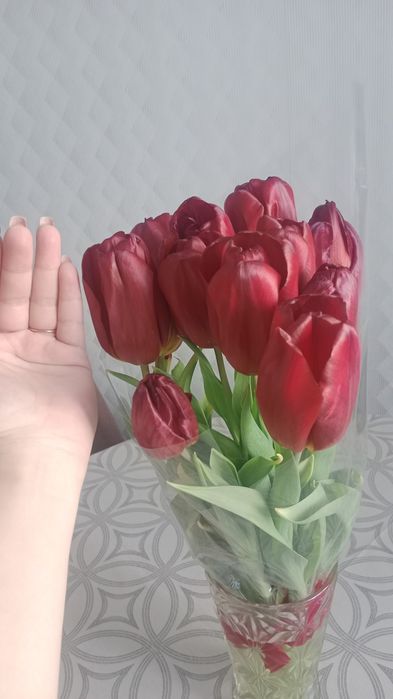 Крупные тюльпаны от 500тг