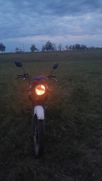 Обмен на плестейшее