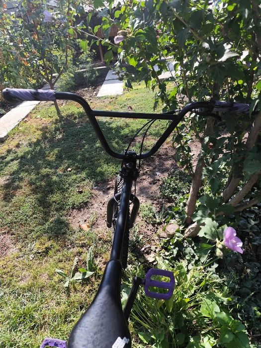 Велосипед BMX Haro Leocadia