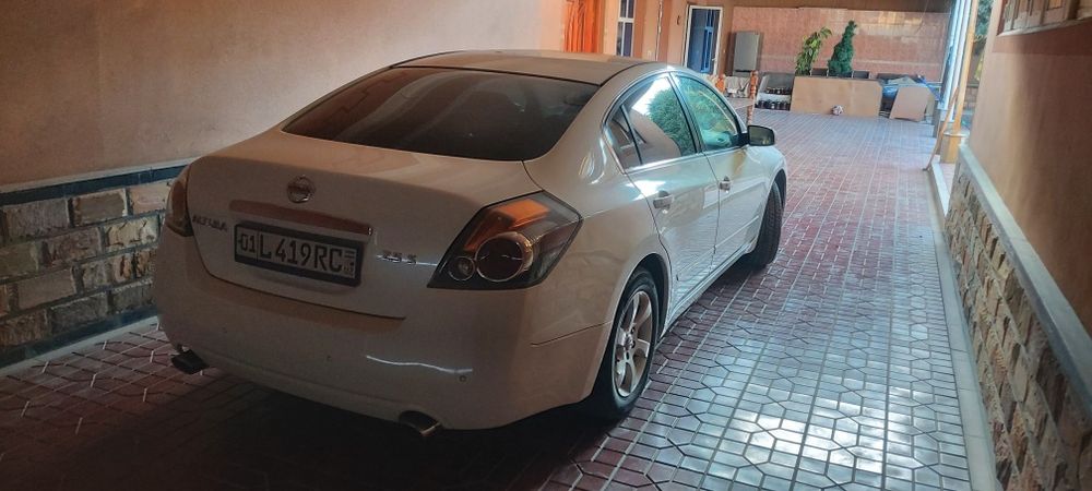 Хамма ишилар қилнган тйор оласилар минасилр