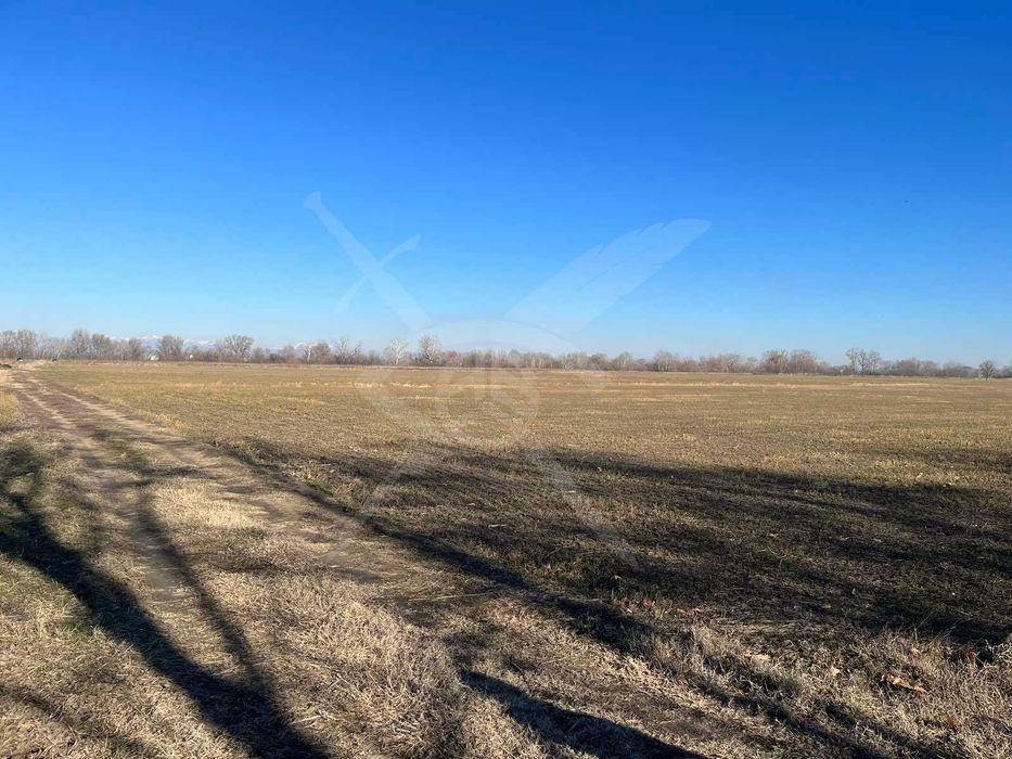 Парцел в с.Ягодово 43965