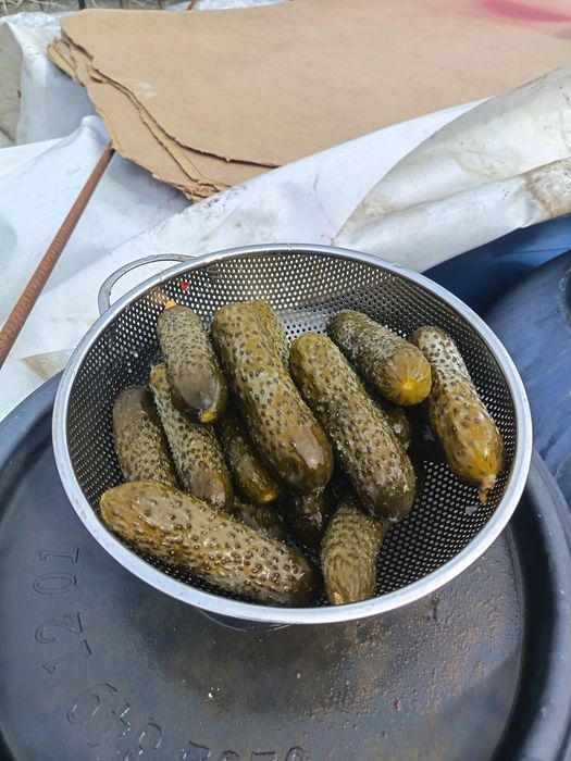 Castraveți murați