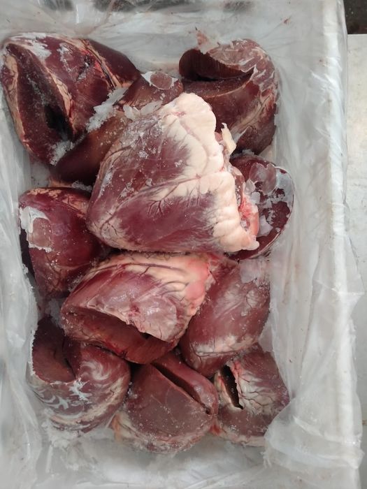 Продам говяжье сердце