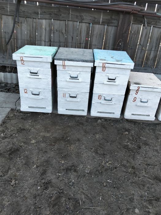 Продам улья для пчел