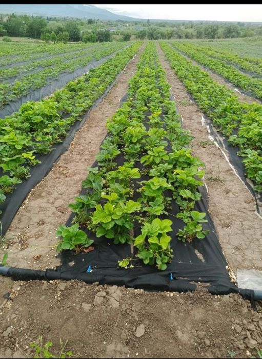 Продается участок земли ИЖС