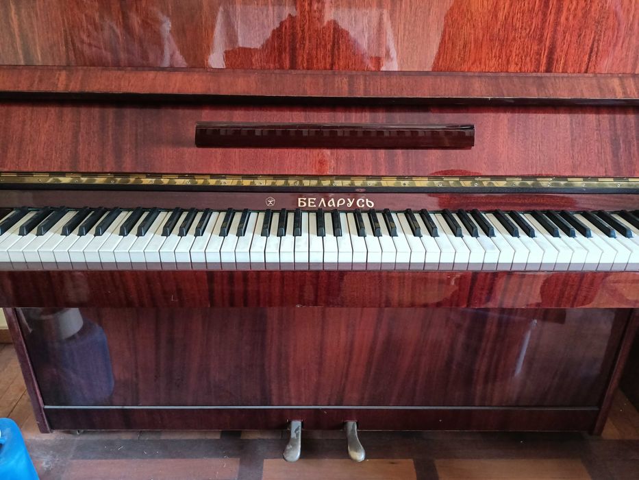 Продам пионинина