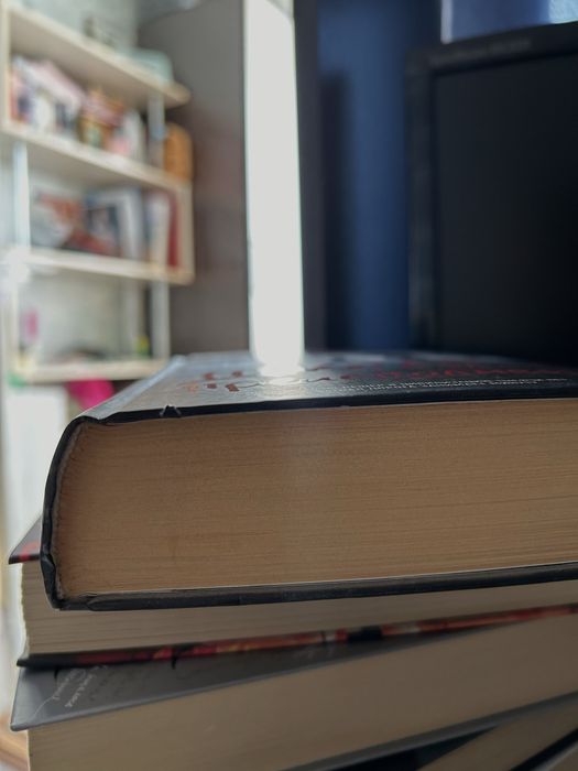 Книга «Школа над преисподней» Эли Фрей