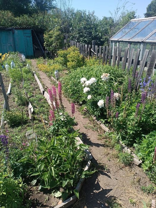 Продам дачу сад Здоровье