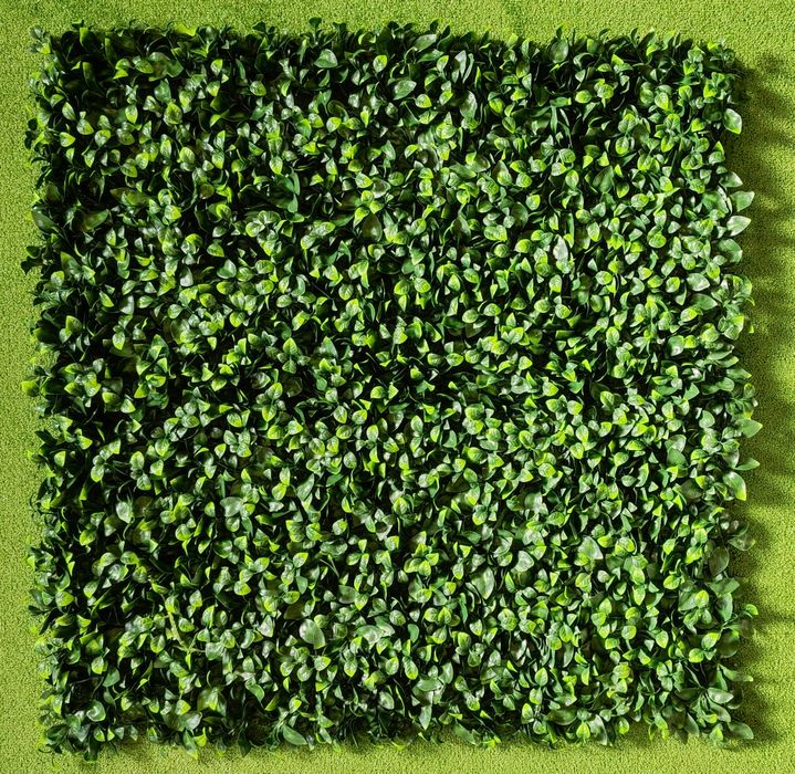 Изкуствена зелена стена