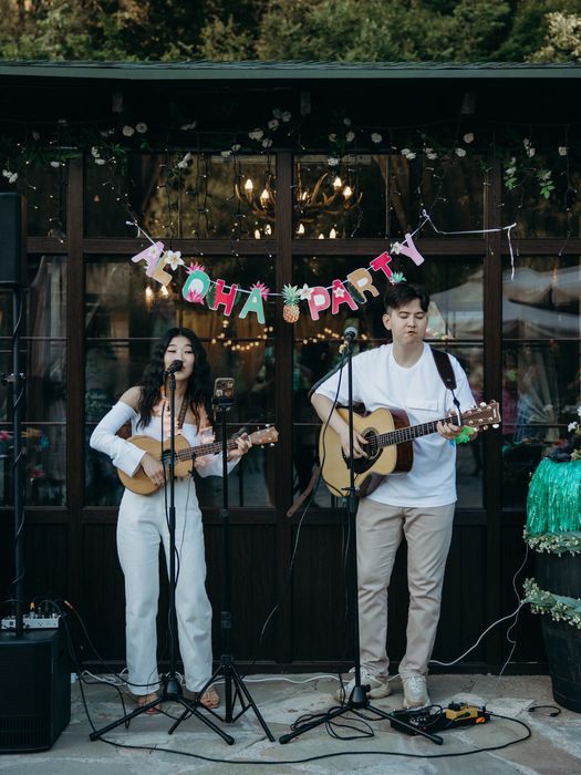 Музыканты/дуэт(гитарист и вокалистка)