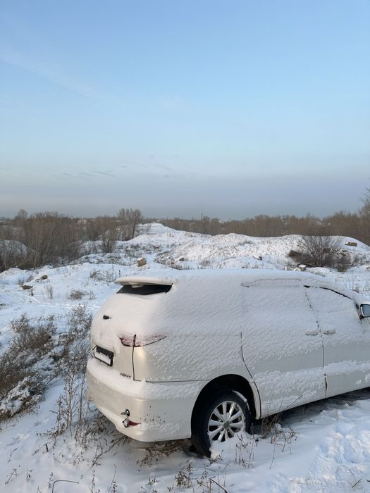 эстима на разбор естима