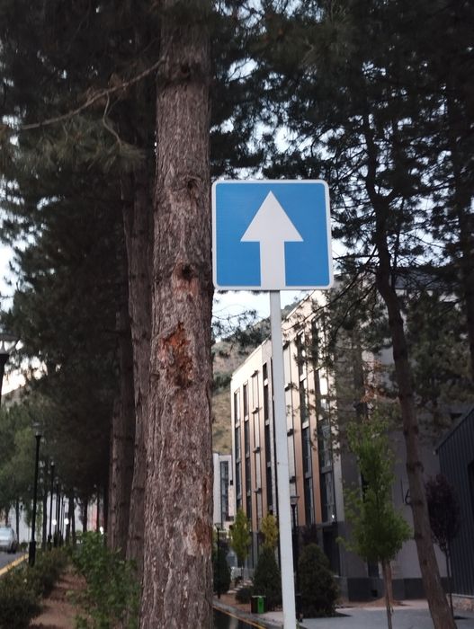 Дорожные знаки разметка дорог