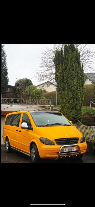 Bullbar si trepte inox vito