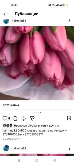 Тюльпаны свежие хороший выбор