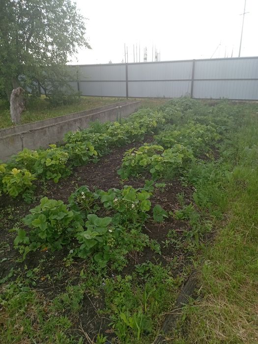 Продам      дом.